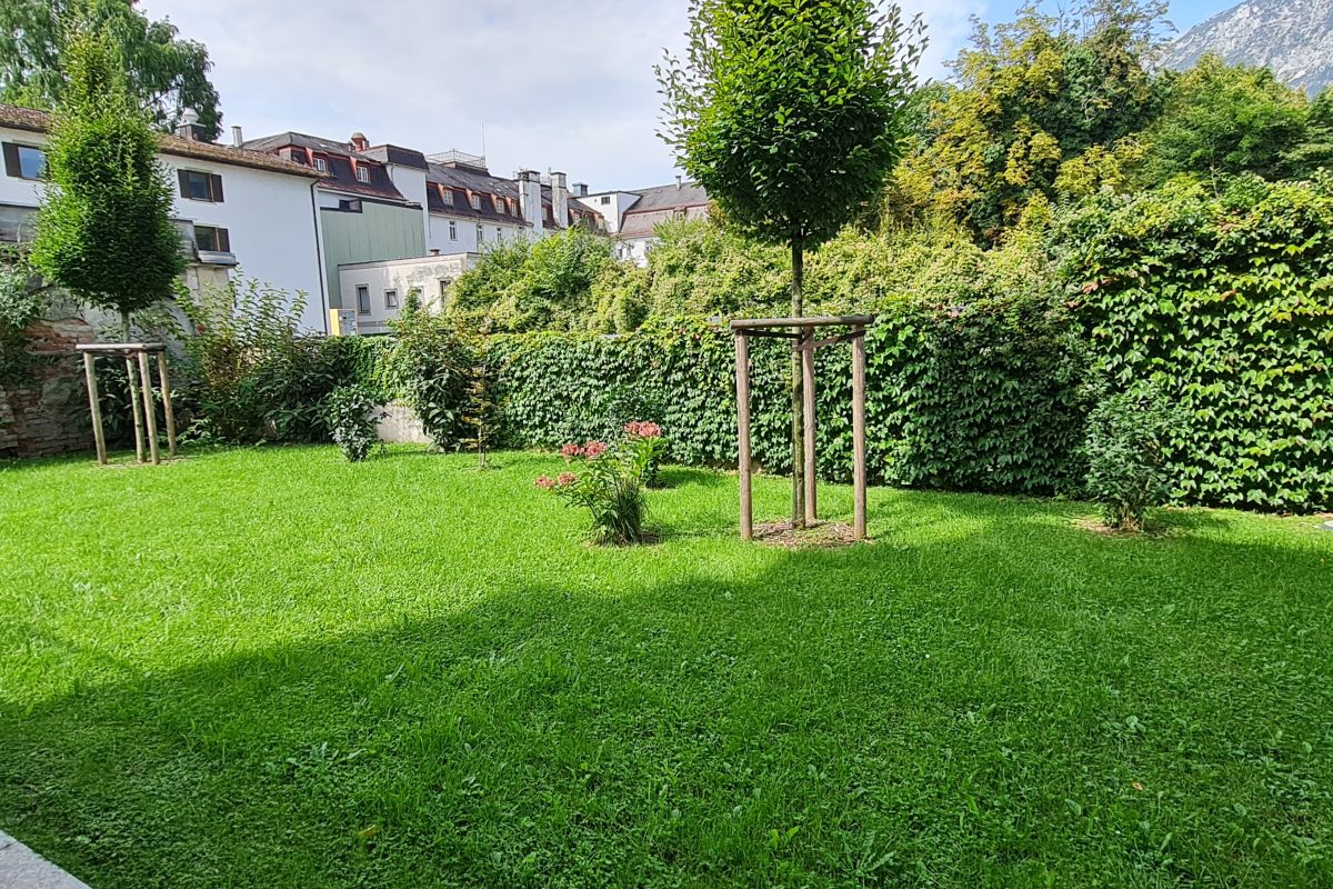 Blick in den Garten